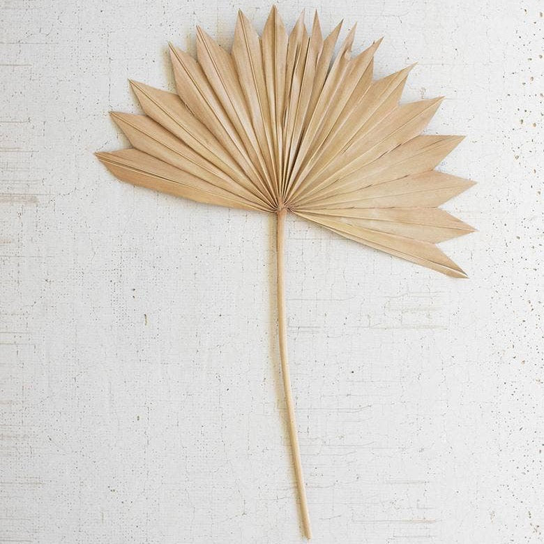 Natural Sun Palm Spear