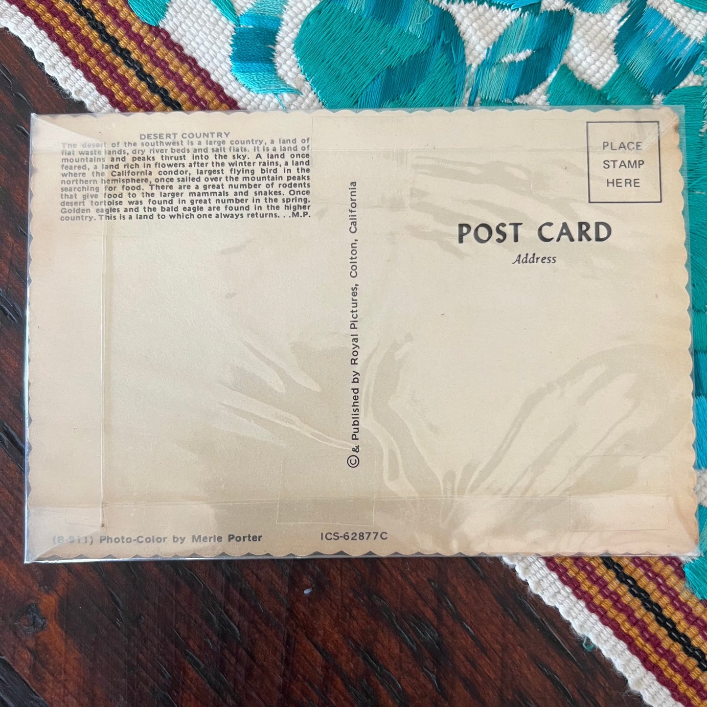Vintage Arizona Cactus Postcard