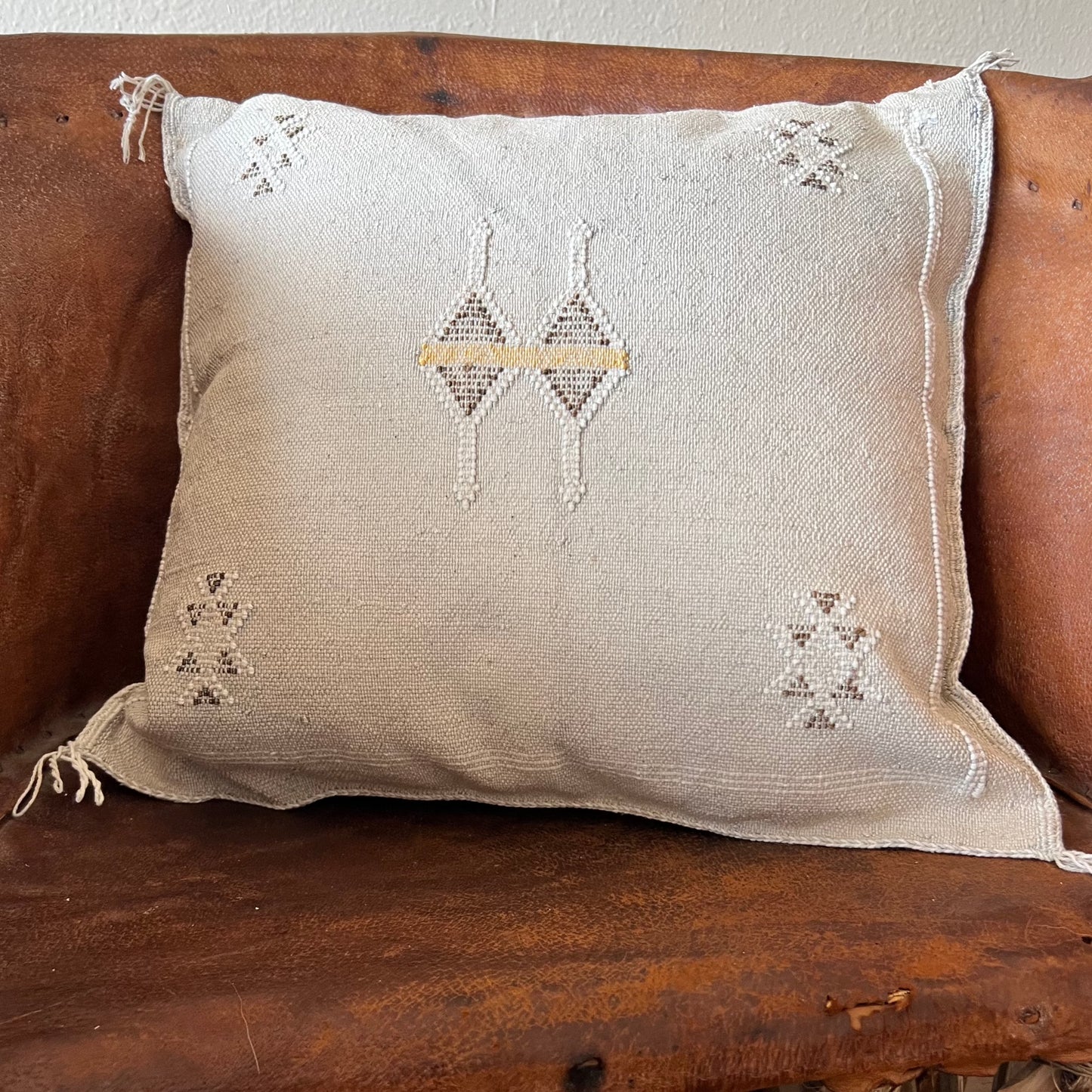 Grey Cactus Silk Pillow