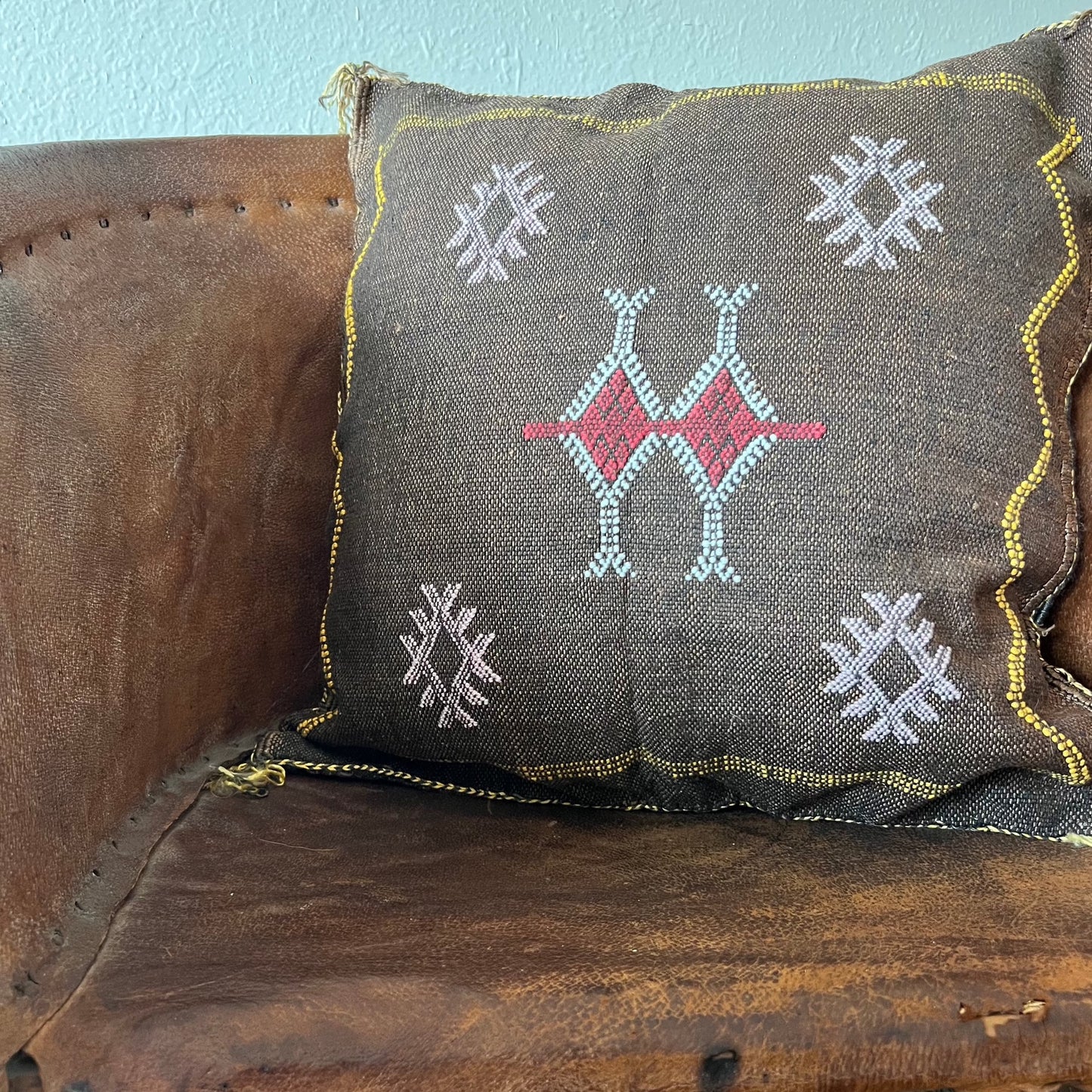 Brown Cactus Silk Pillow