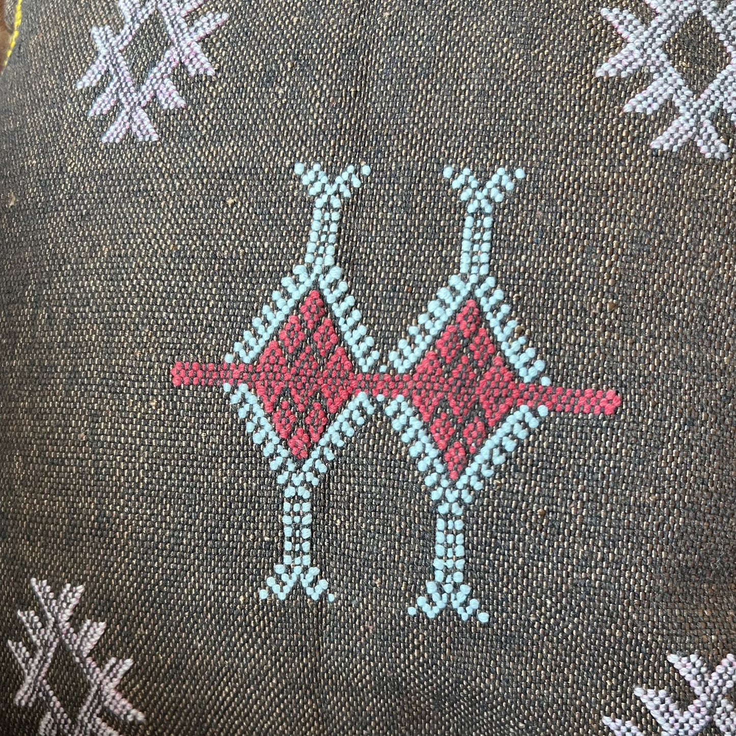 Brown Cactus Silk Pillow