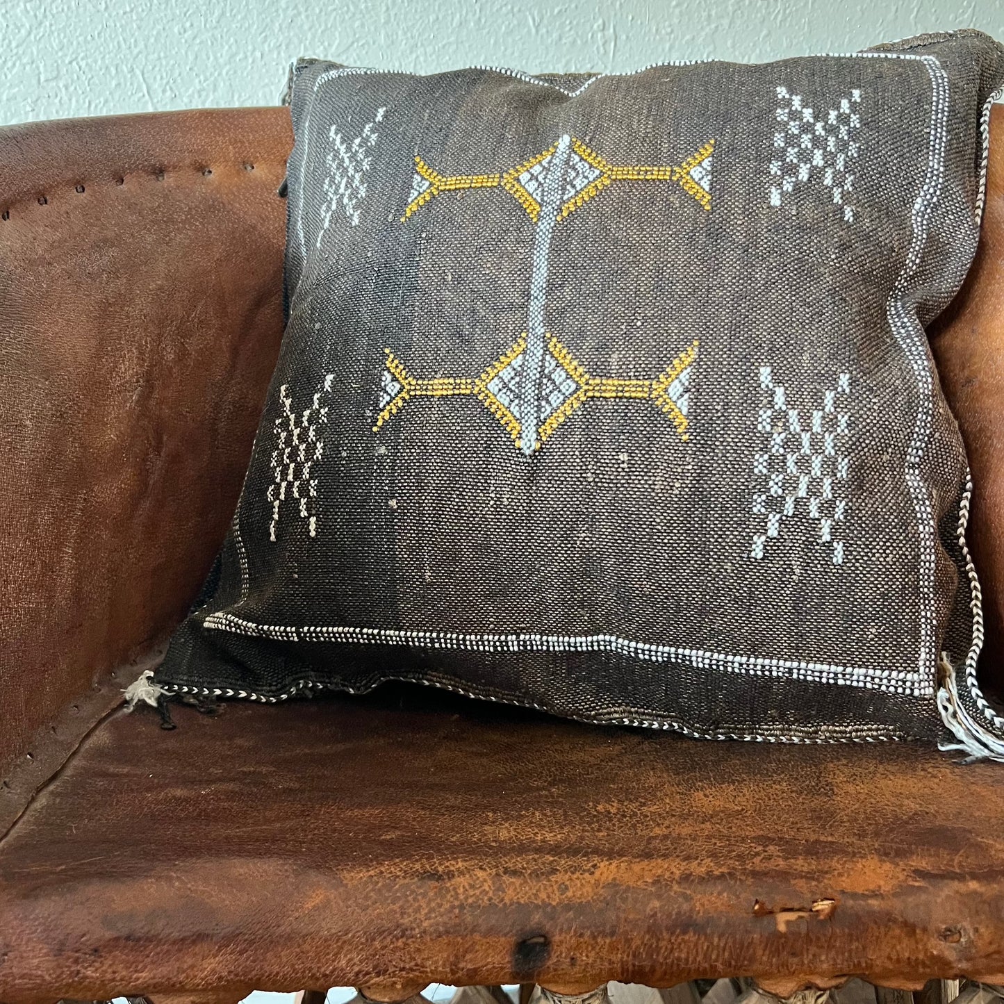 Dark Brown Cactus Silk Pillow