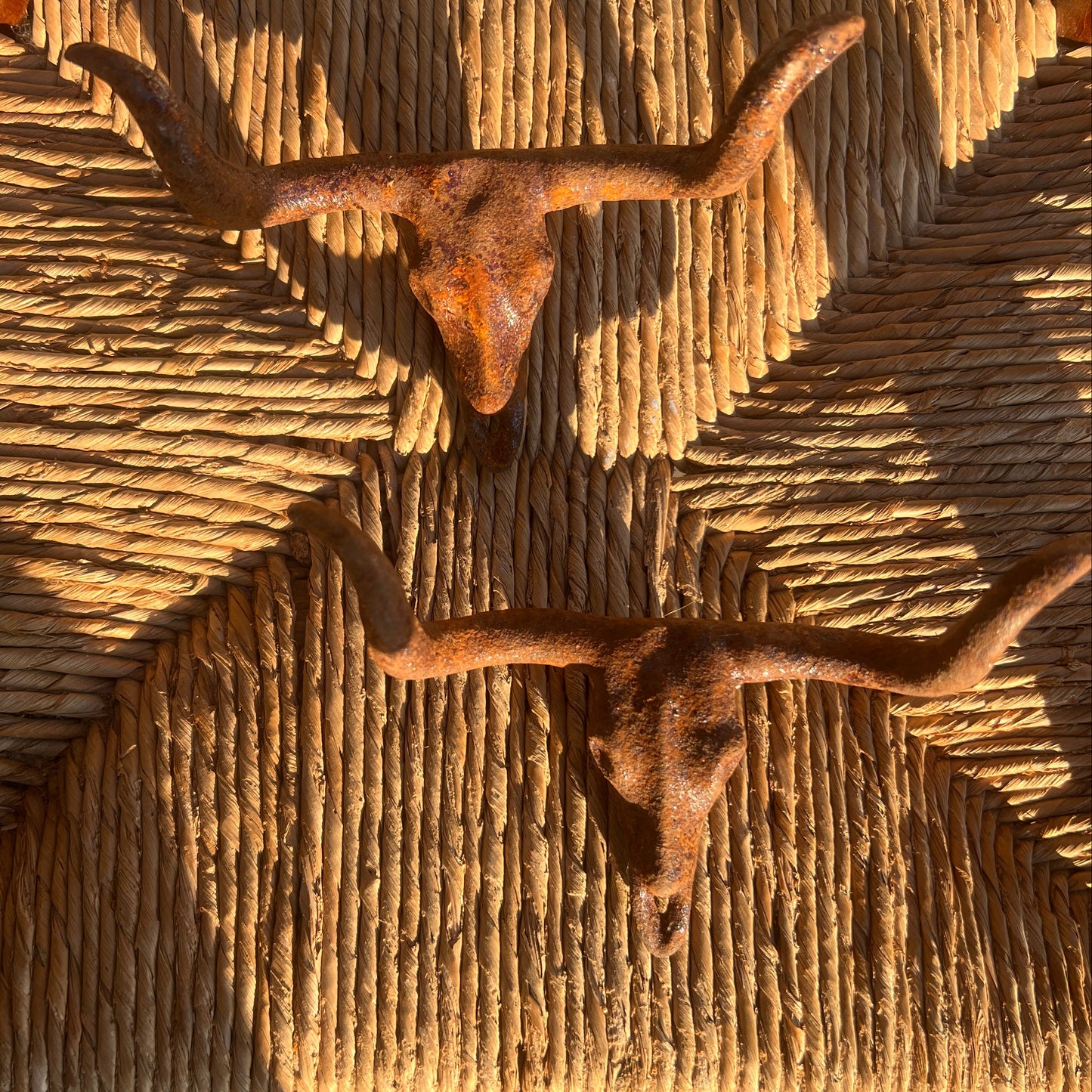 Cast Iron Rust Longhorn