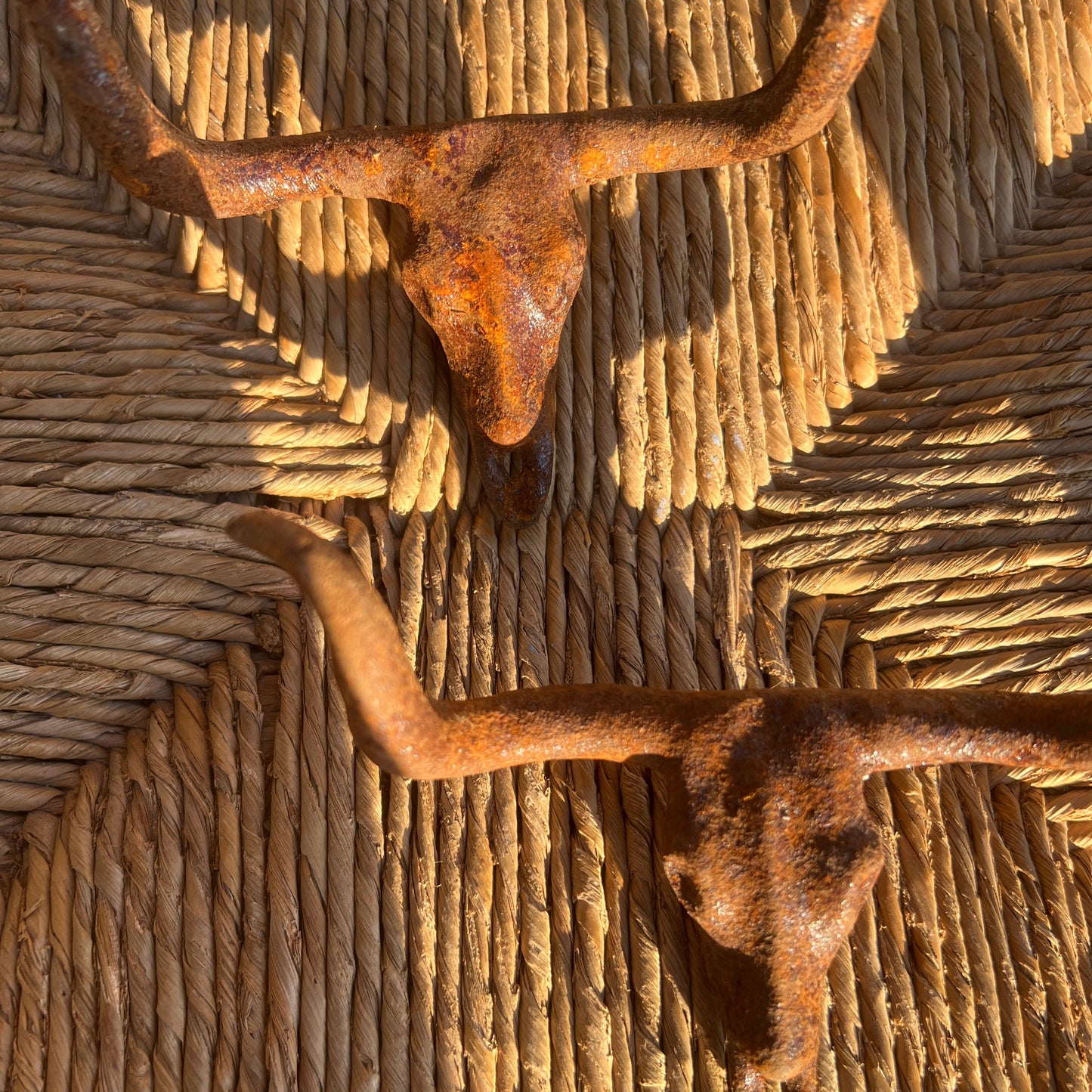 Cast Iron Rust Longhorn