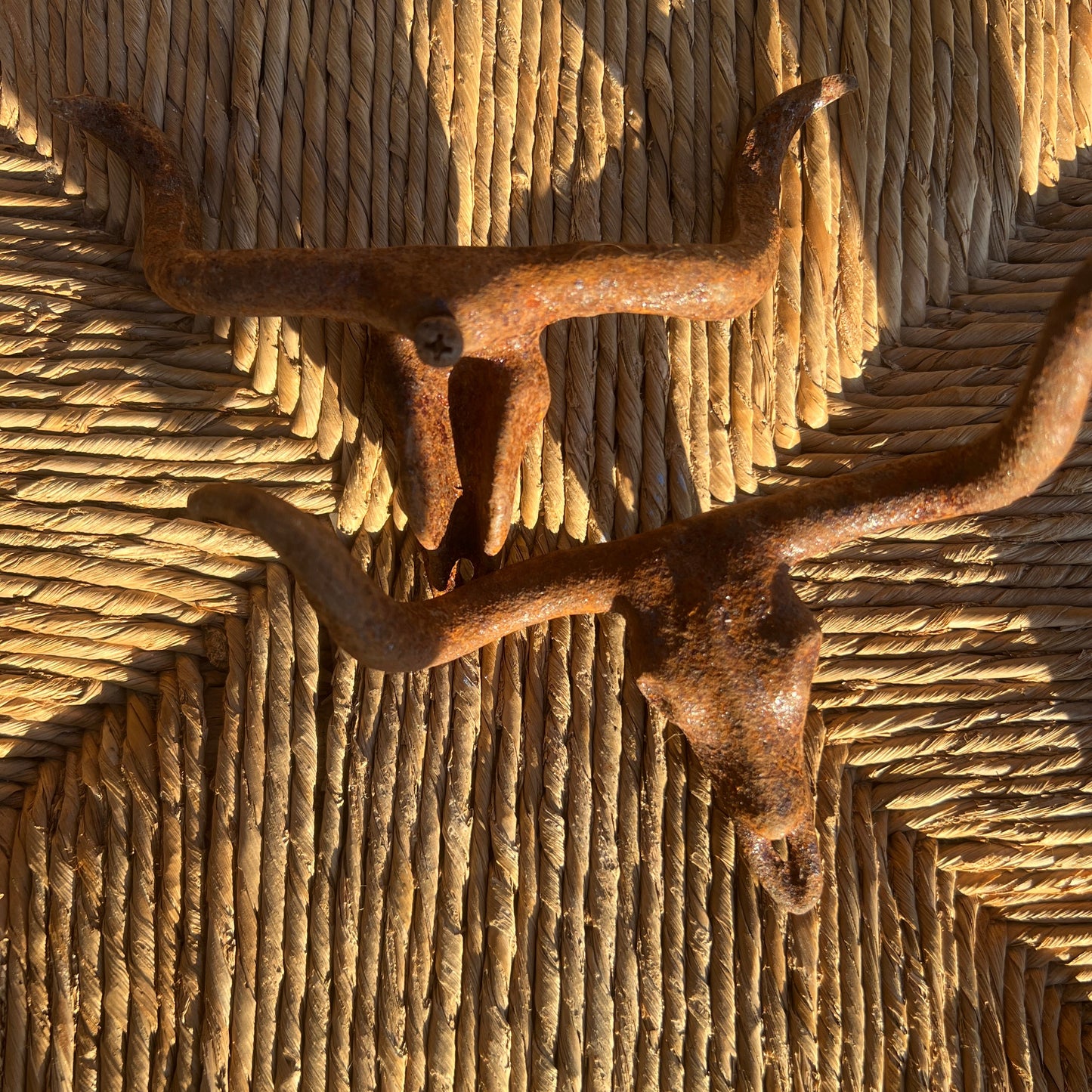 Cast Iron Rust Longhorn