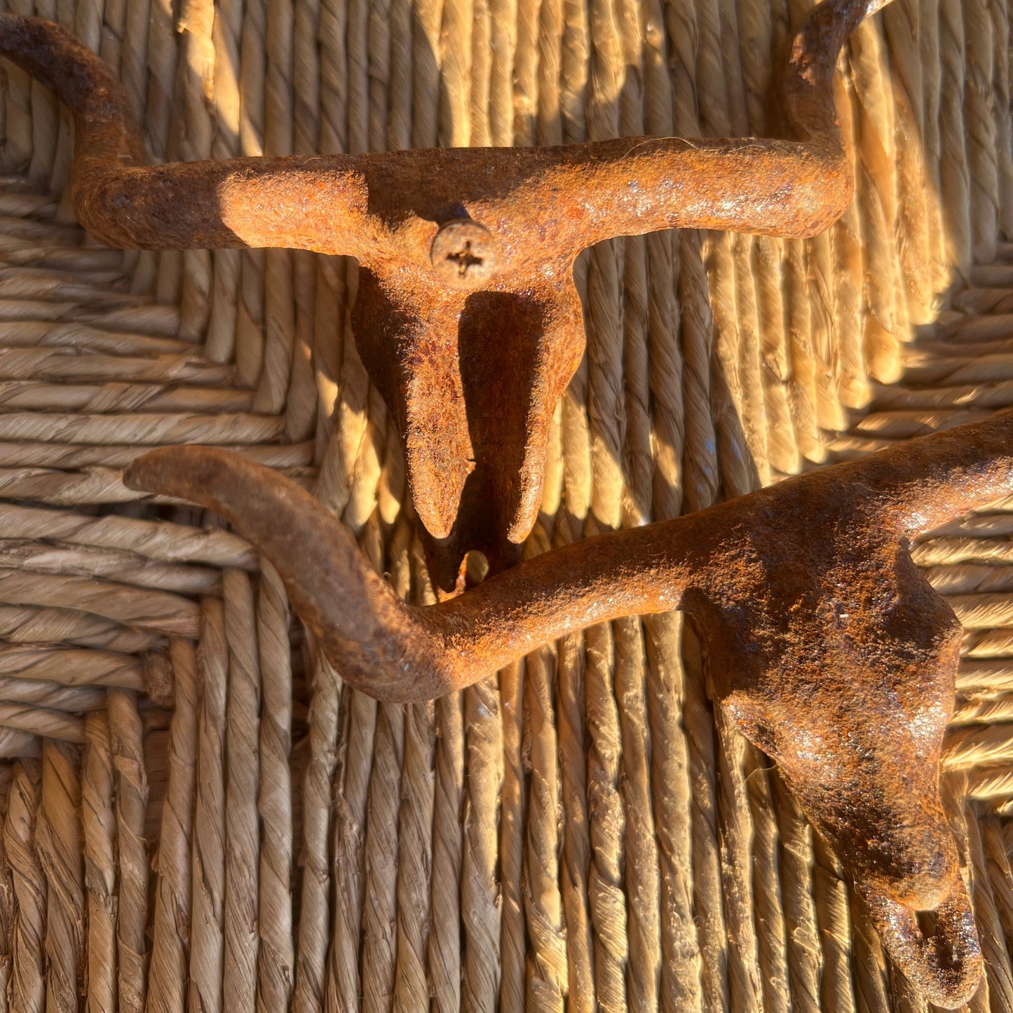 Cast Iron Rust Longhorn