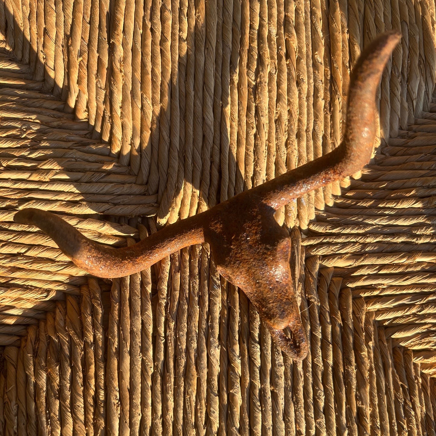 Cast Iron Rust Longhorn